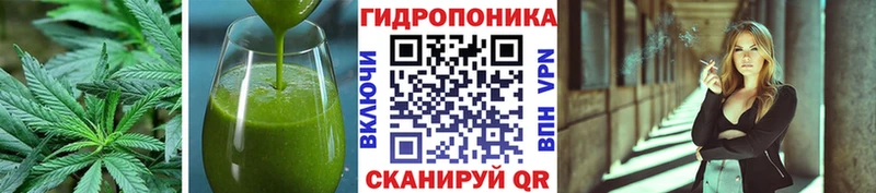 наркота  Мценск  OMG tor  Еда ТГК марихуана 