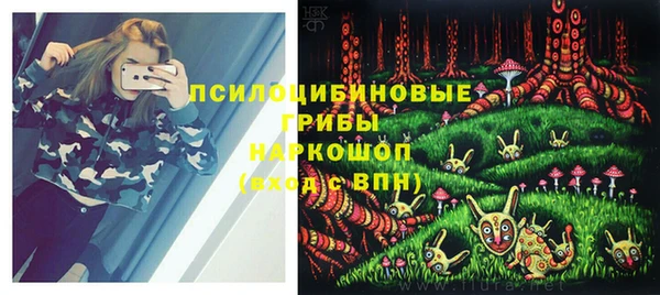 бутират Горняк