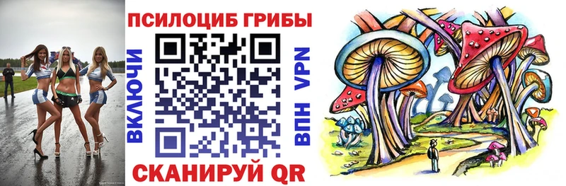Псилоцибиновые грибы прущие грибы  мега онион  Мценск 
